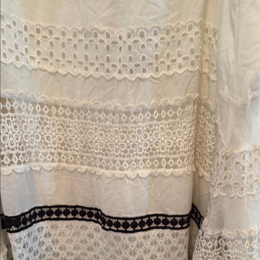 Anthropologie Cream and Black Lace Midi Dress - Picture 3 of 8